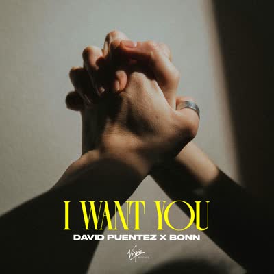 DAVID PUENTEZ UND BONN - I WANT YOU