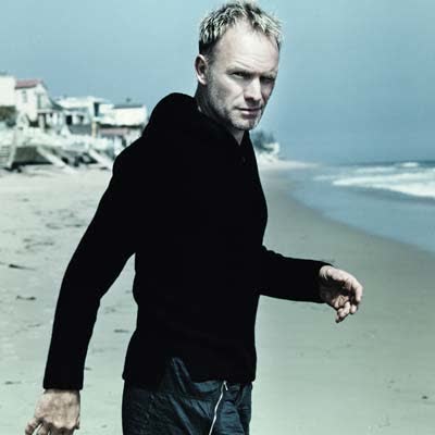 STING - FIELDS OF GOLD